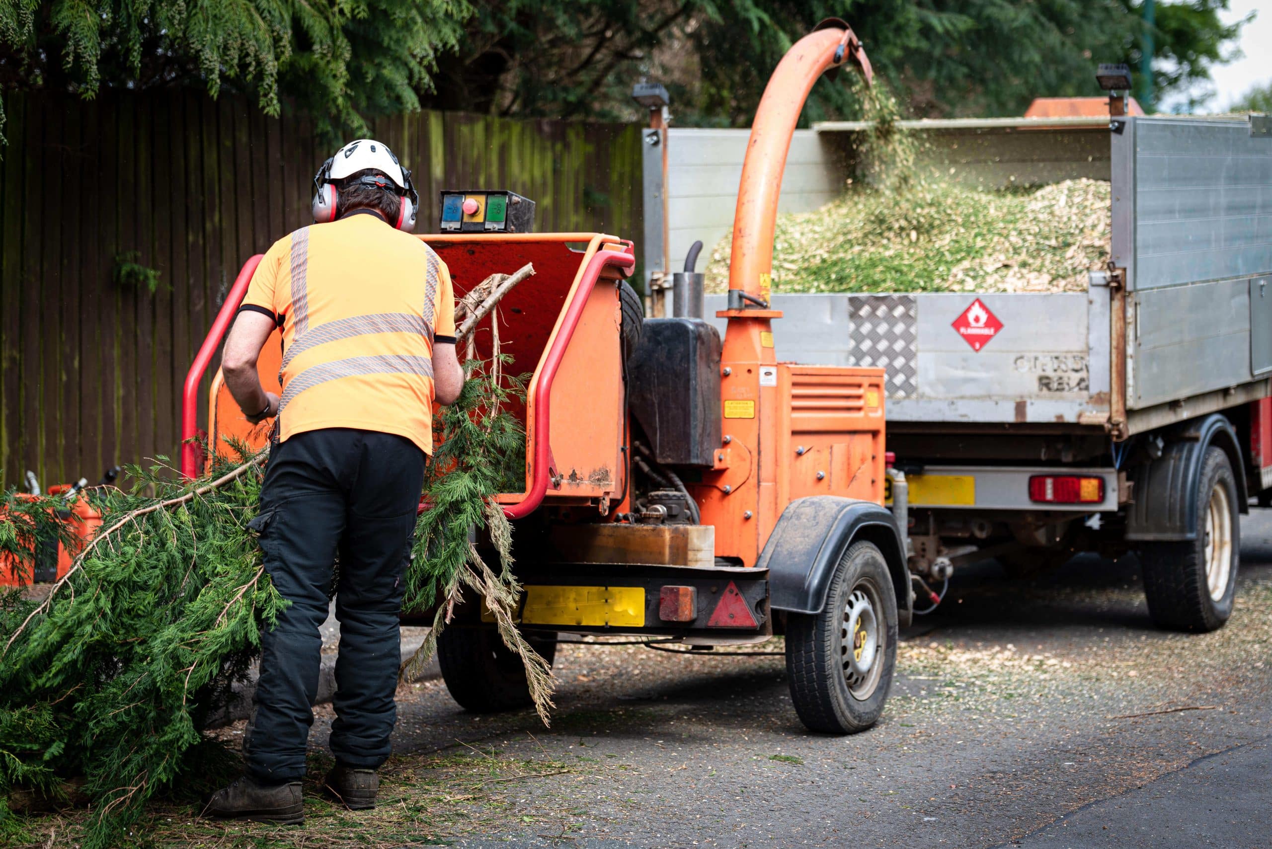 Tree Stump Grinding/Removal Chelsea SW3